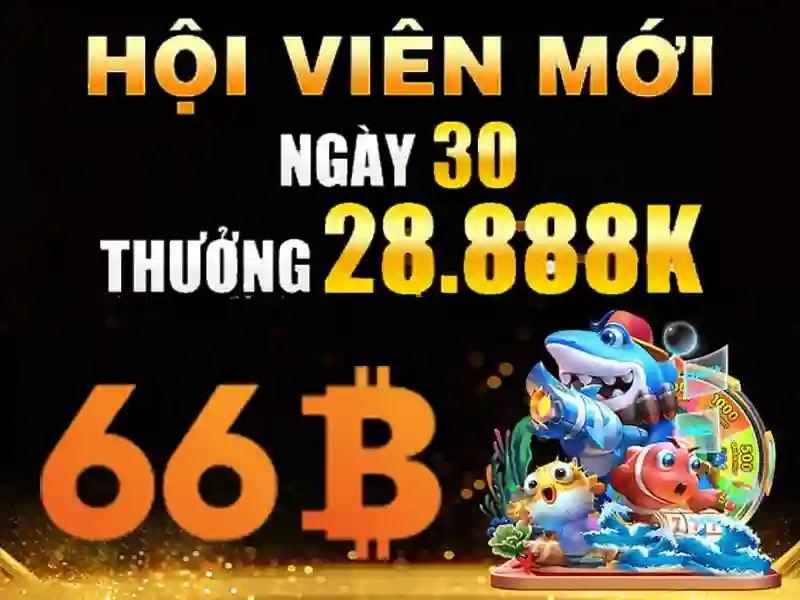Sản phẩm và dịch vụ then chốt của 64/66b trong ứng dụng thực tế