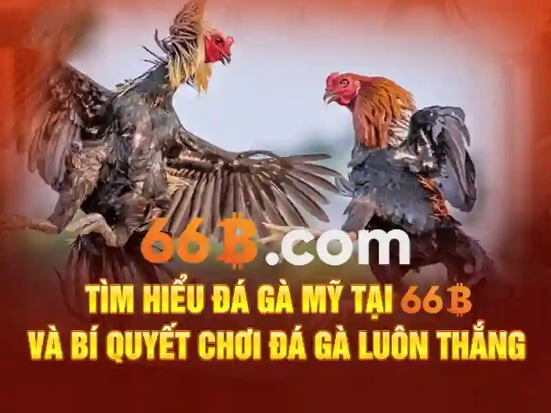 Giới thiệu về 66B