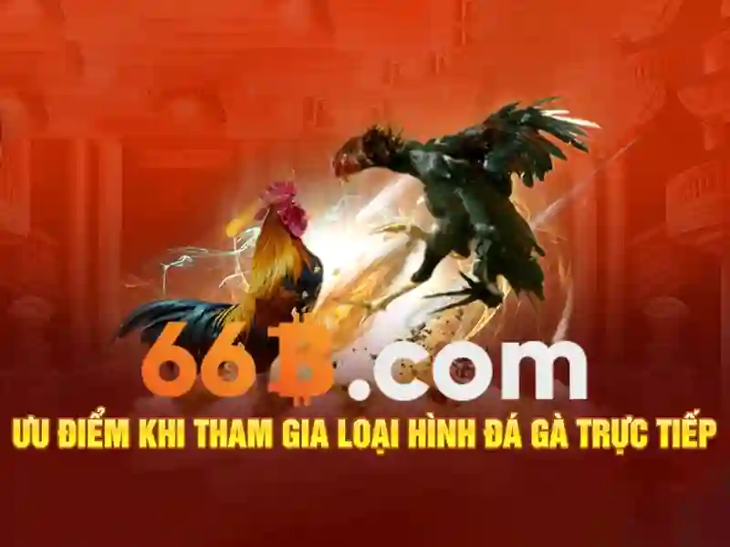 Khám phá 66b: một mô hình ngôn ngữ lớn và tác động của nó