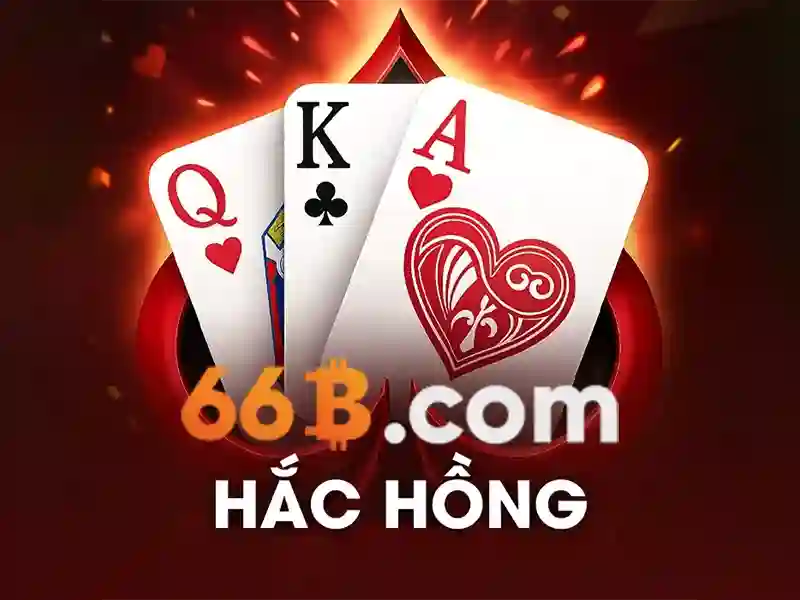 Ứng dụng thực tế của 66b trong doanh nghiệp