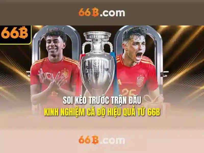 Đặc điểm nổi bật của 66B