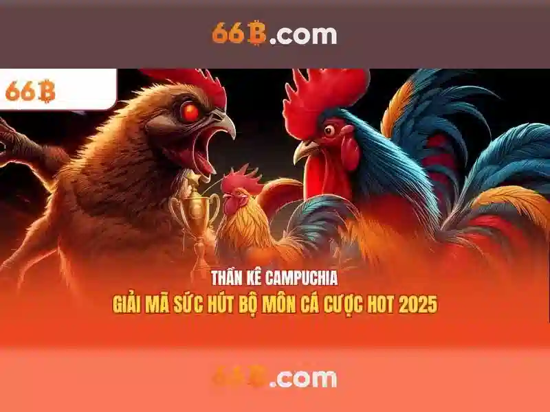 66B: khái niệm, đo lường và mẹo mua sắm