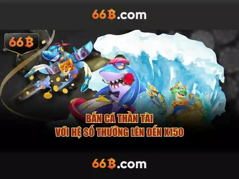66B là gì?