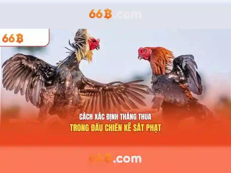 Trai nghiem nguoi dung va phan hoi cong dong 66b phuong 15 quan Tan Binh