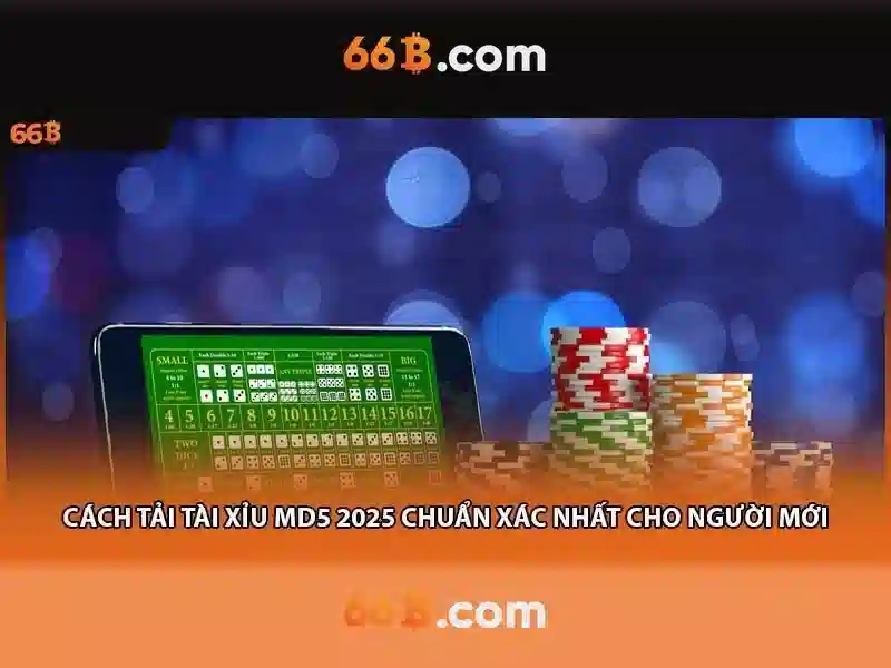 66b: một cái nhìn tổng quan
