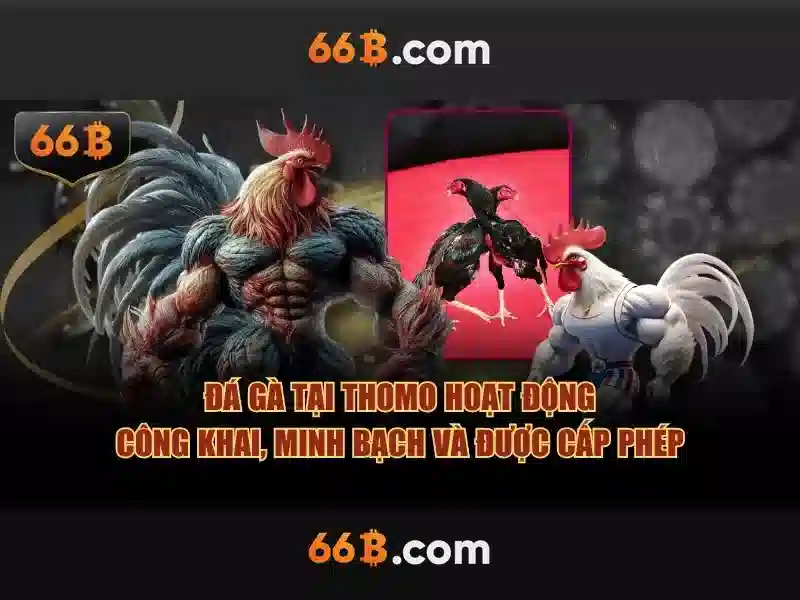 Khung pháp lý và thách thức\n