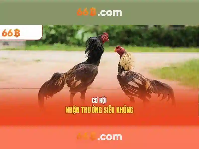 Khía cạnh toán học của 66b\n