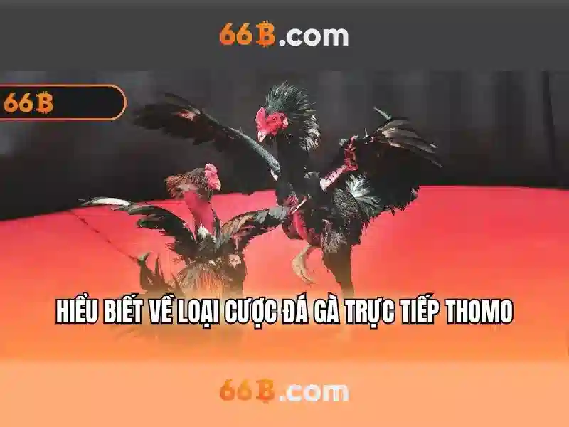 Slot 66b – Trải nghiệm đỉnh cao và ưu đãi 66b