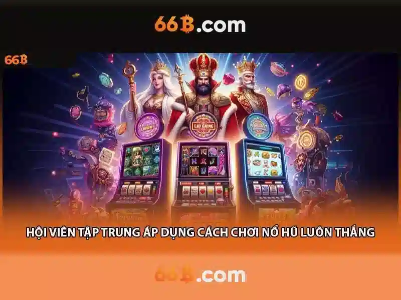 66B là gì?