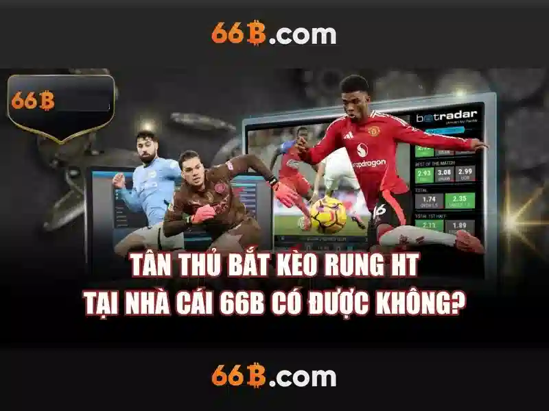 Nguồn gốc và ý nghĩa của 66b\n\n