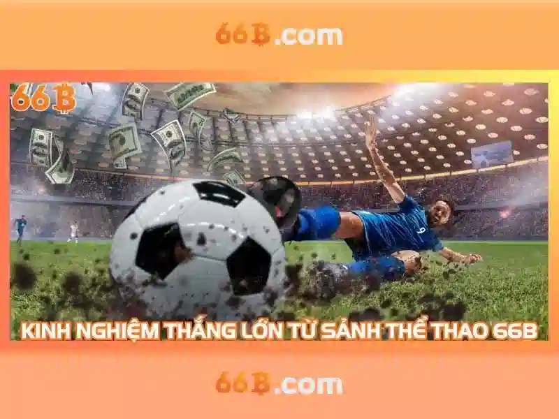 Định hướng tương lai của 66B\n