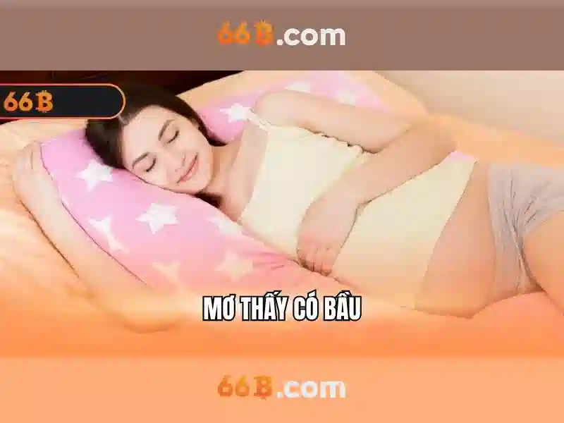 66b quang trung hải dương – Định vị thương hiệu và ứng dụng nổi bật
