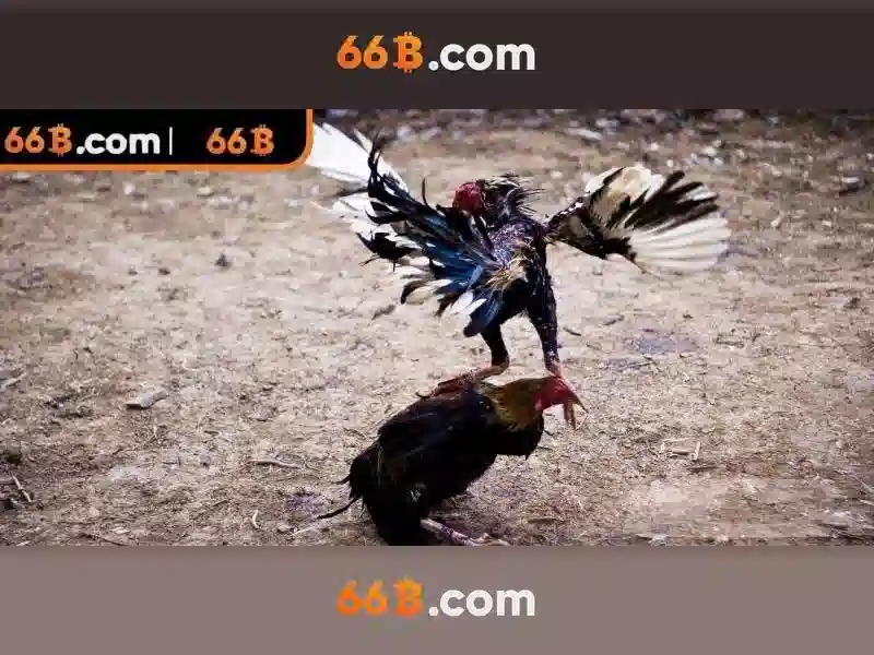 Cấu trúc và kích thước
