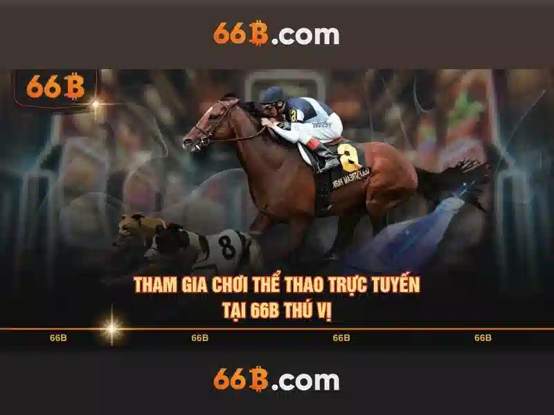 66b: một cái nhìn tổng quan