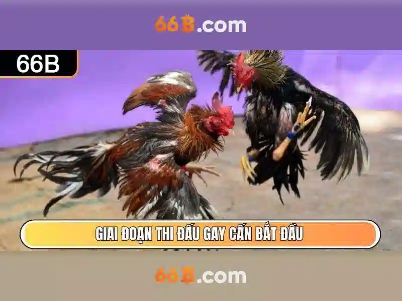 sản phẩm và dịch vụ liên quan tới bánh mì chay 66b trần hưng đạo