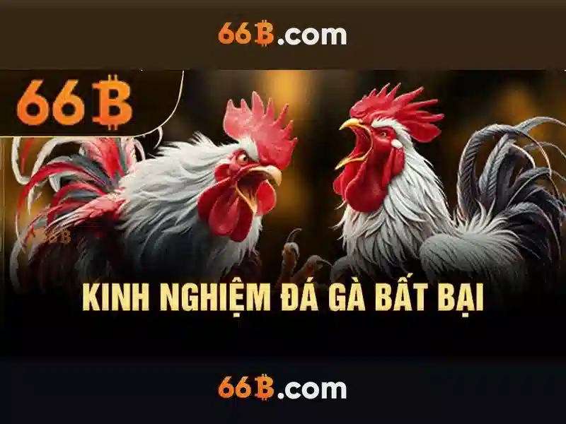 66b: Khái niệm và ứng dụng của một mô hình ngôn ngữ lớn