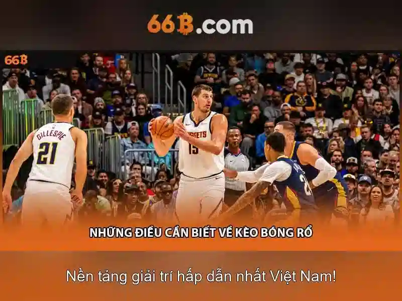 Kiến trúc và quy mô