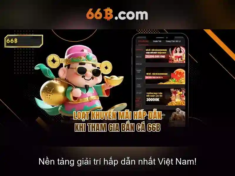 66B là gì?