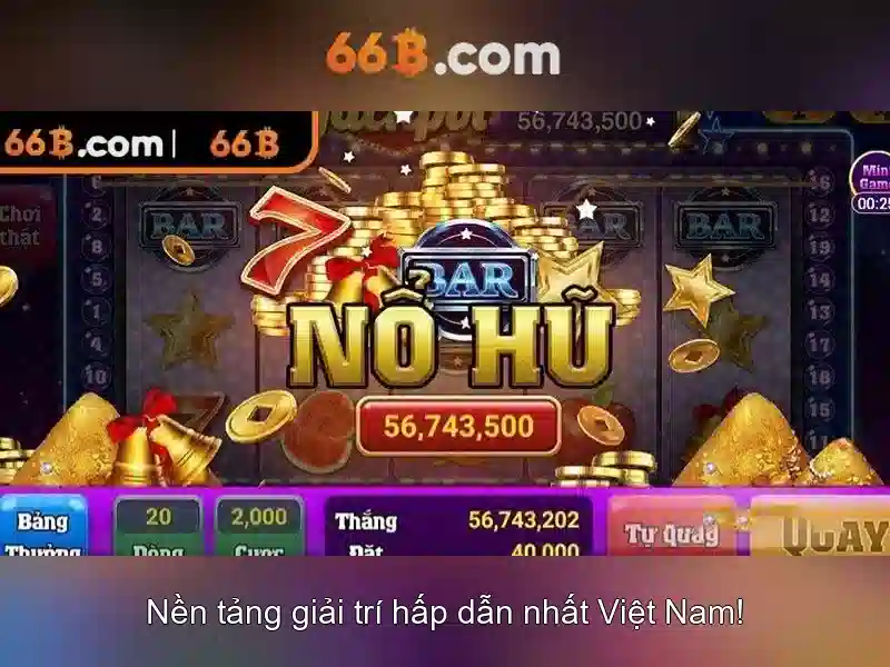 66B là gì?\n