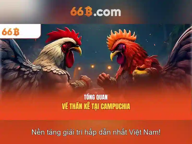 Các đặc điểm kỹ thuật của 66B