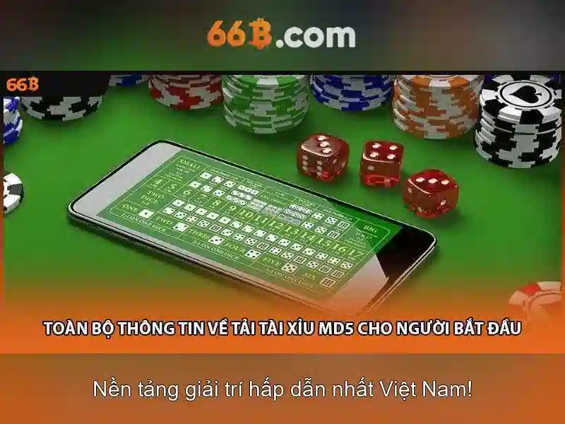 66B: Mô hình ngôn ngữ lớn và hành trình khám phá