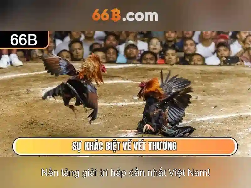 Ứng dụng và ví dụ