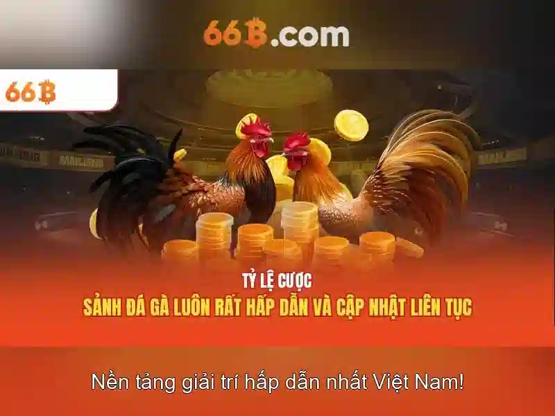 66b và hành trình khám phá ý nghĩa