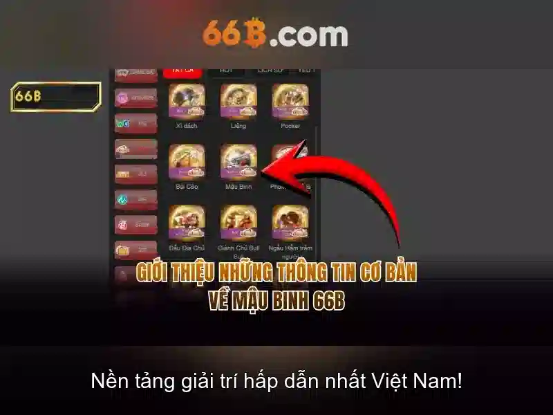 Về 66b: khái niệm và ứng dụng