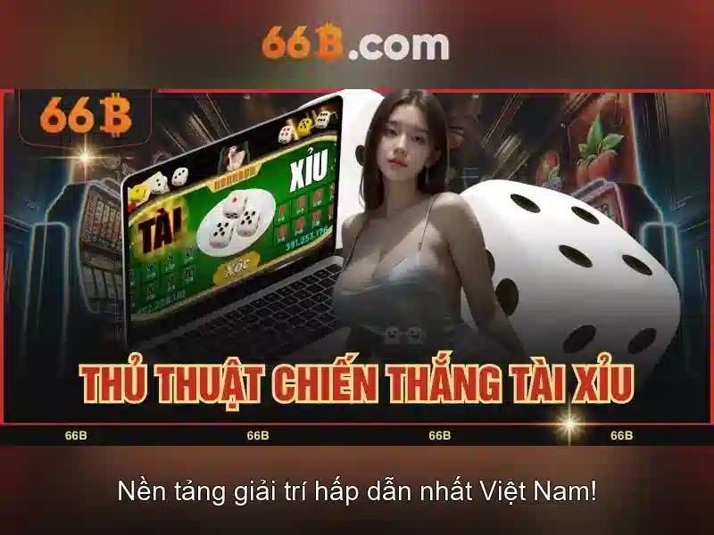 66B là gì?