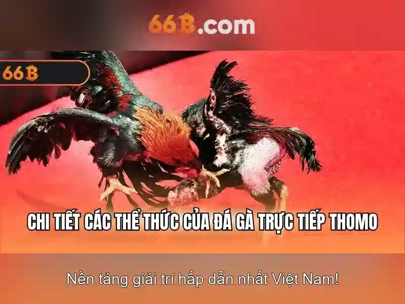 Tương lai và đánh giá