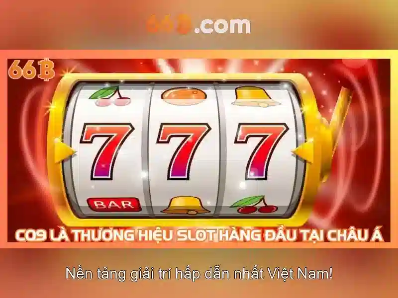 66b là gì\n