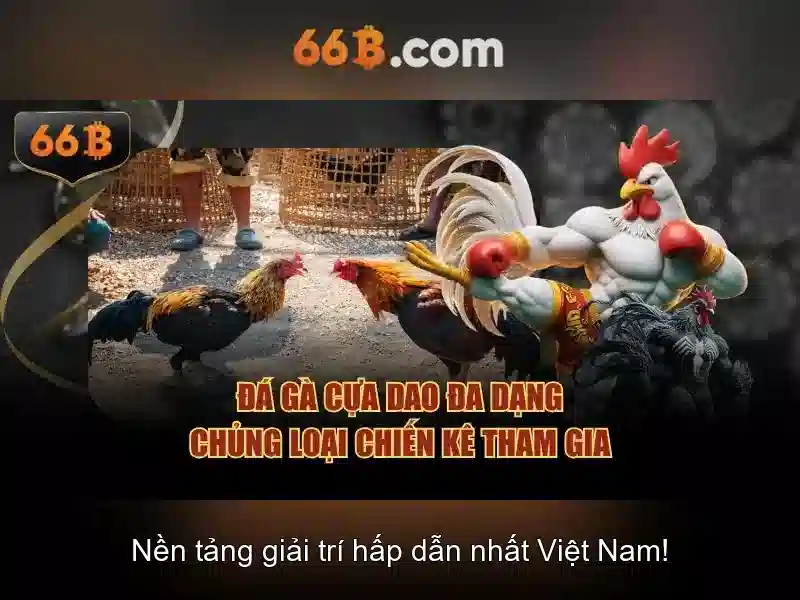 66b: khám phá kích thước mô hình ngôn ngữ lớn