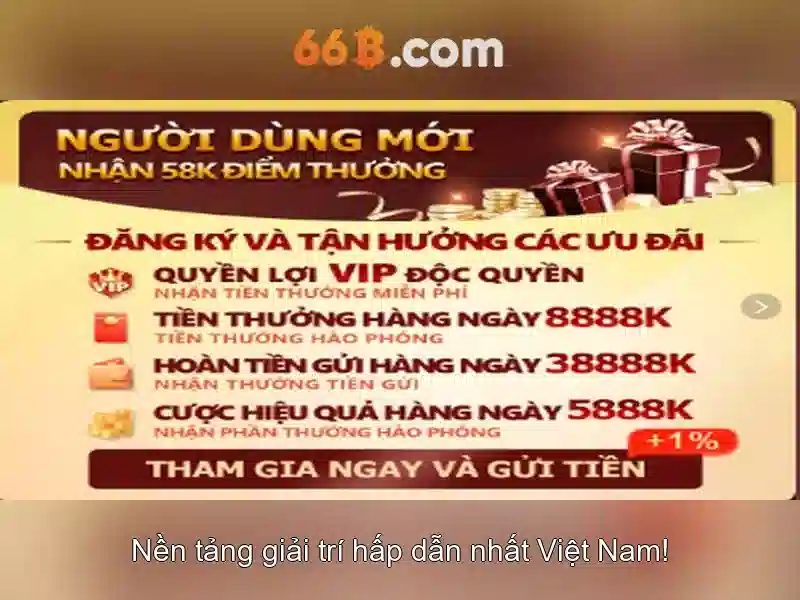 66B là gì và tại sao nó quan trọng?