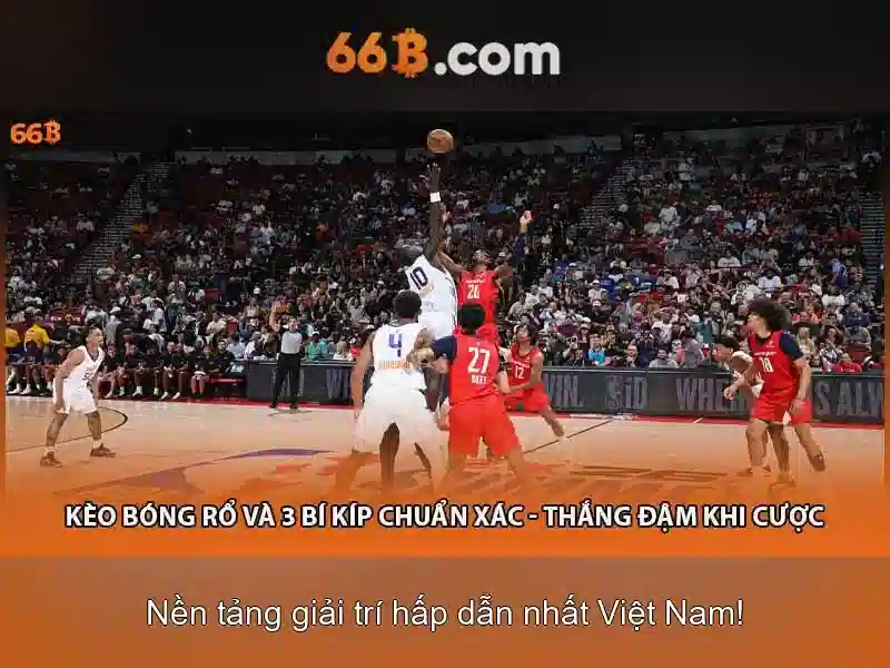 Kiến trúc căn bản của 66B