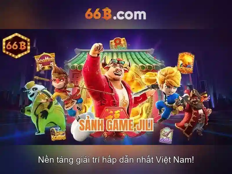 66B là gì?