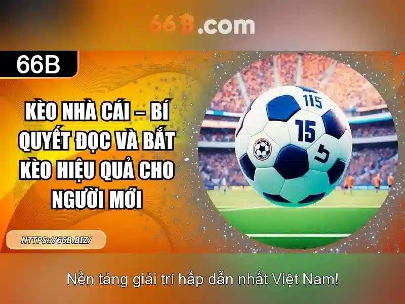 66B: Hiểu về kích cỡ áo ngực và cách chọn