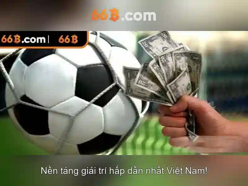 Thông số và kích thước của 66B