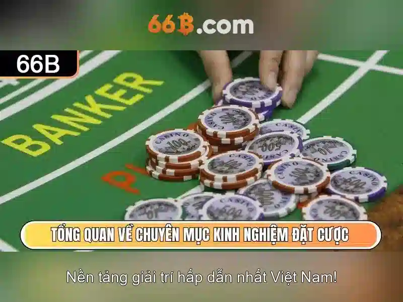 Giới thiệu về 66b