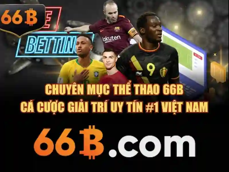 66B: một khái niệm và tiềm năng