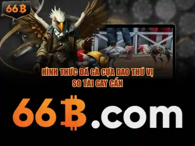 66b ios – Tổng quan chủ đề và giá trị cốt lõi