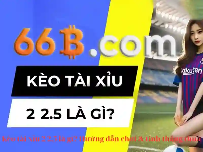 Thiết kế và kiến trúc