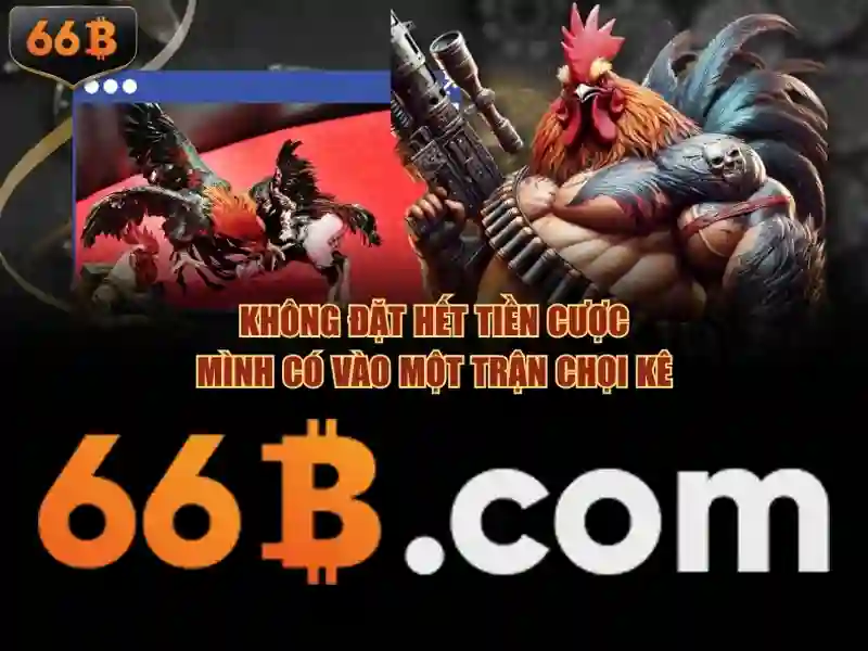 66b là gì? Khám phá khái niệm 66b trong công nghệ và đời sống