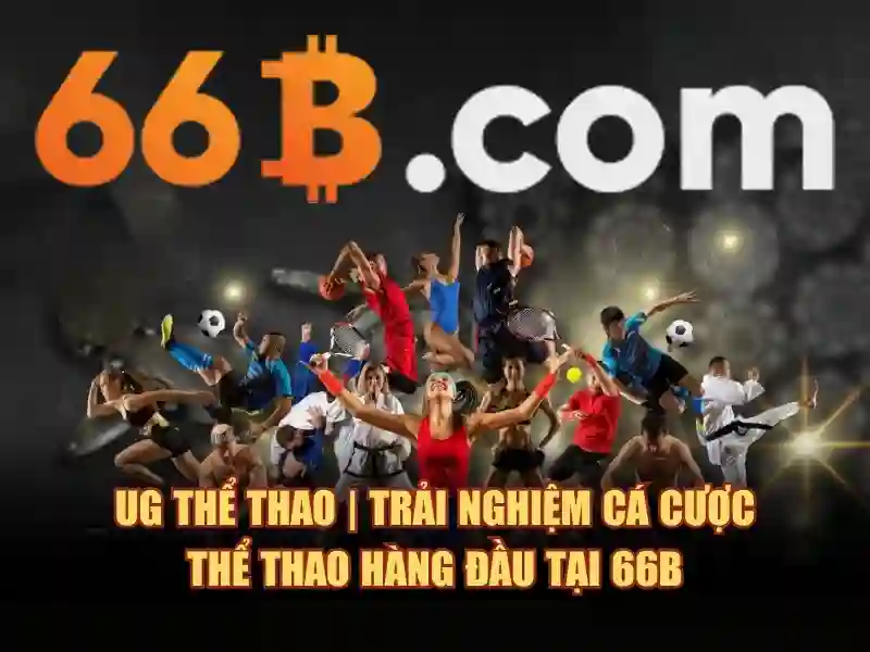 66b: một ký hiệu huyền bí và hành trình khám phá