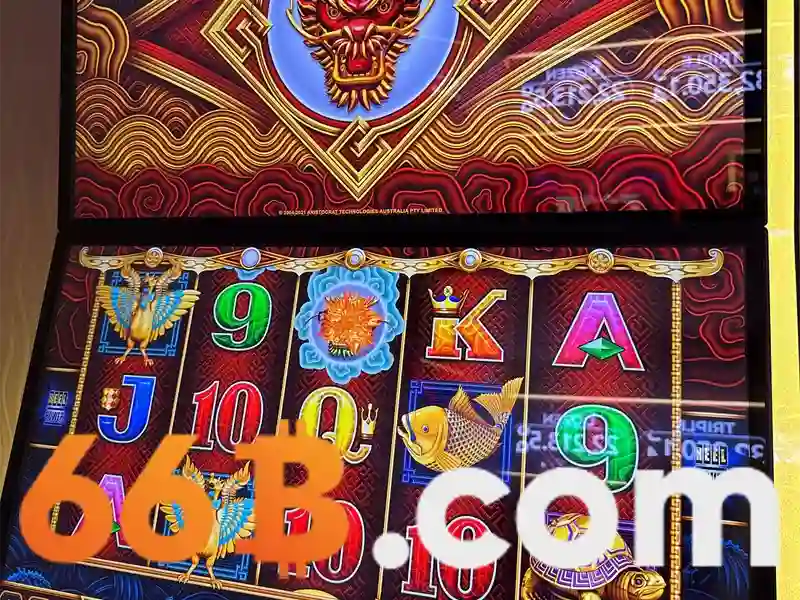 Trải nghiệm người dùng và phản hồi cộng đồng