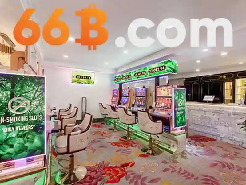 Phân tích kích thước 66B và cách đo