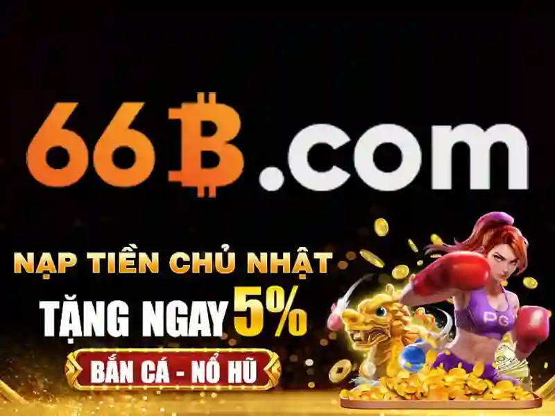 66b: Khái niệm và ứng dụng trong thế giới số