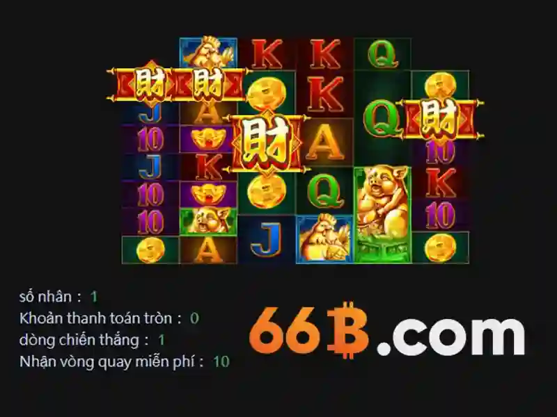 66b . com – Cam kết sáng tạo và trải nghiệm