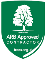 ARB Approved Tree Surgeon Bristol