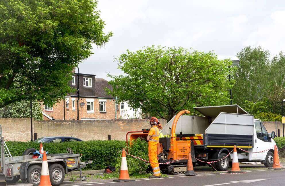 Commercial Tree Services Bristol