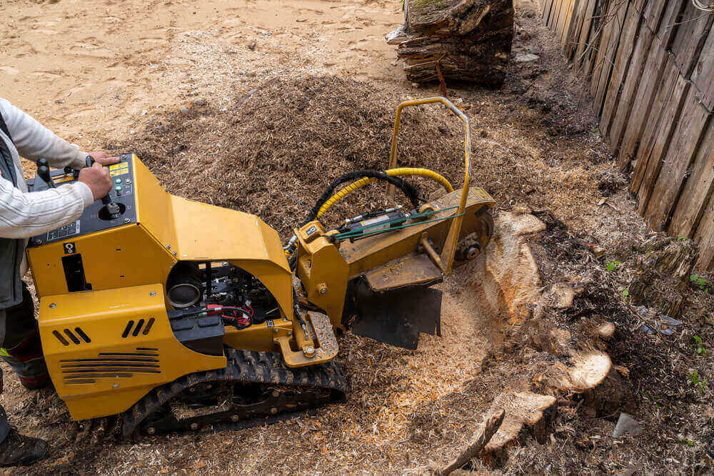 Stump Grinding Bristol